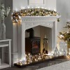 Nova Garden TWW 800 Warm & Cool White Mix LED String Christmas Lights