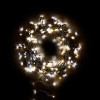 Nova Garden TWW 800 Warm & Cool White Mix LED String Christmas Lights