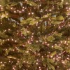 Nova Garden TWW 2000 Copper Glow LED Compact Cluster Christmas Tree Lights - PRE ORDER