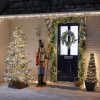 Nova Garden TWW 2000 Warm White LED Compact Cluster Christmas Tree Lights - PRE ORDER