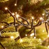 Nova Garden TWW 480 Warm White LED Cluster Christmas Lights - PRE ORDER