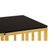 Alvaro Gold Finish Metal and Black Glass Hexagonal Console Table 5501718